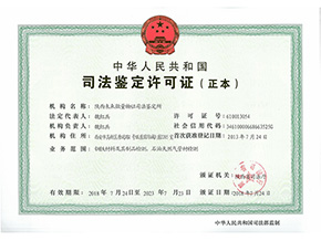 Judicial authentication permit